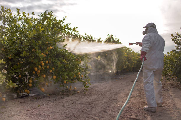 Best Residential Pest Control  in Miller Place, NY
